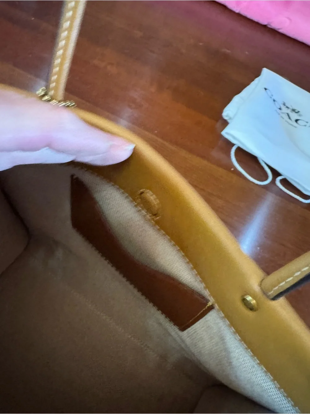 NWT Coach Glove-Tanned Leather Scenic Tote - Central Park Bridge & River. Rare - Picture 7 of 8